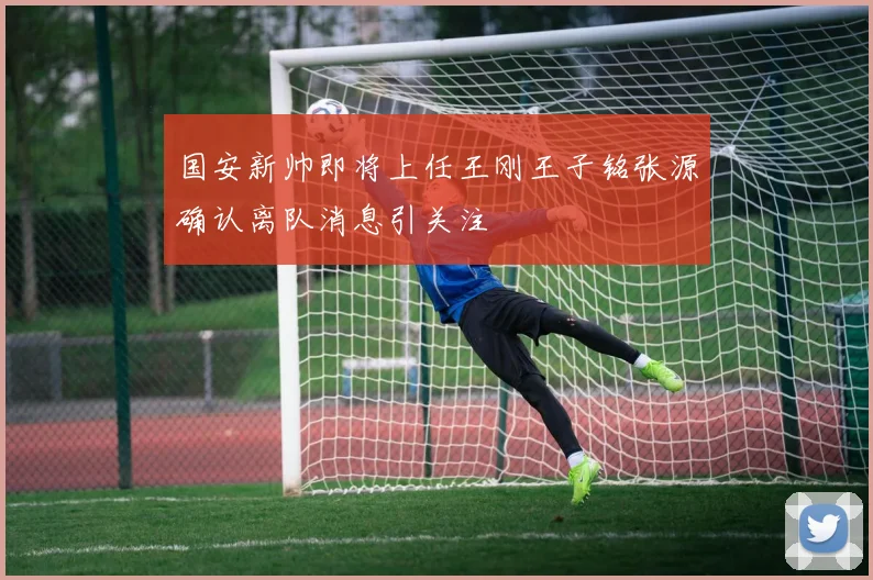 国安新帅即将上任王刚王子铭张源确认离队消息引关注