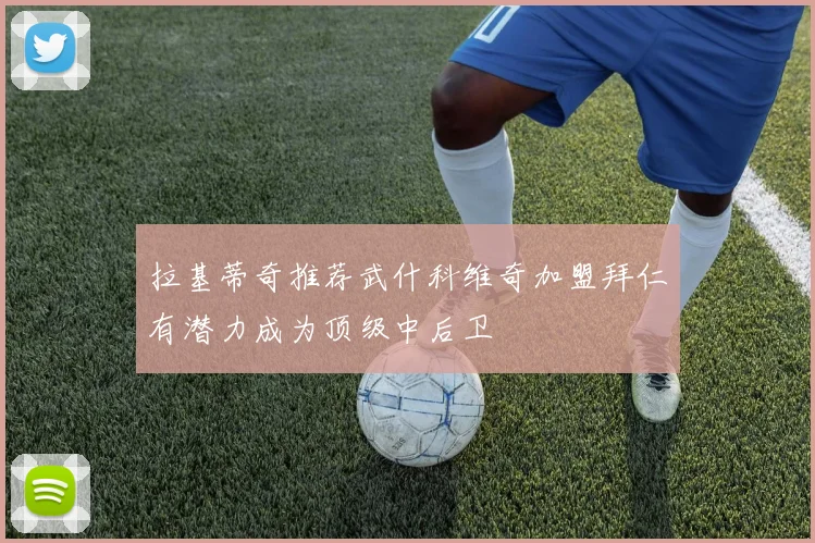 拉基蒂奇推荐武什科维奇加盟拜仁有潜力成为顶级中后卫